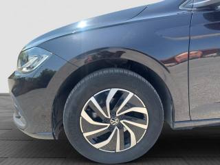 VOLKSWAGEN Polo usata 14