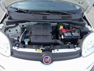 FIAT Panda usata 20