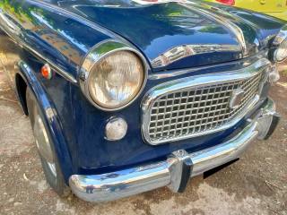 FIAT 1100 usata 17