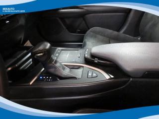 LEXUS UX 250h usata, con Chiusura centralizzata