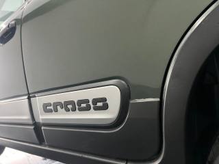 FIAT Panda Cross usata, con Controllo trazione