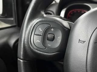 FIAT Panda Cross usata 22