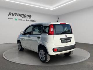 FIAT Panda usata, con Climatizzatore