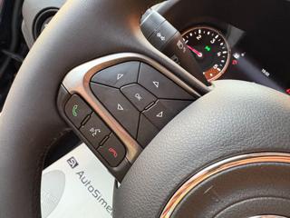 JEEP Renegade usata, con Park Distance Control