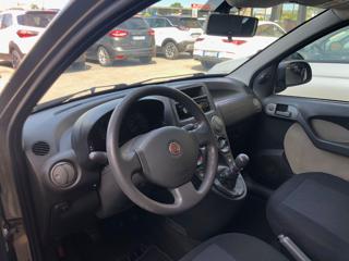 FIAT Panda usata, con Servosterzo