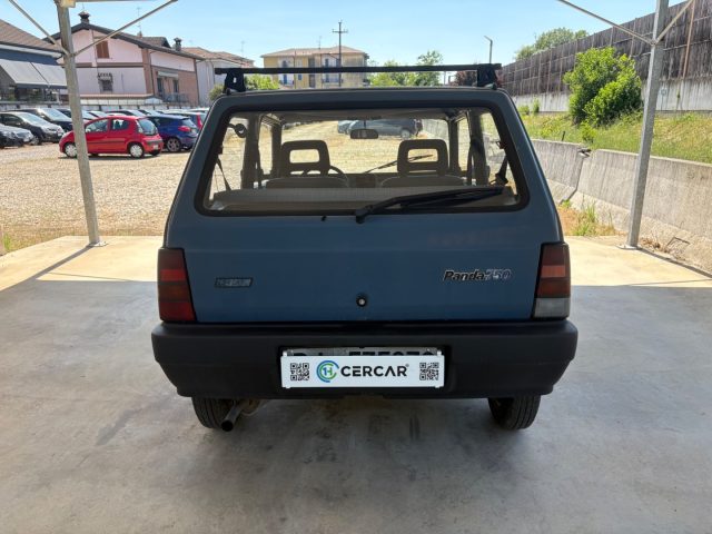 FIAT Panda usata, con Marmitta catalitica