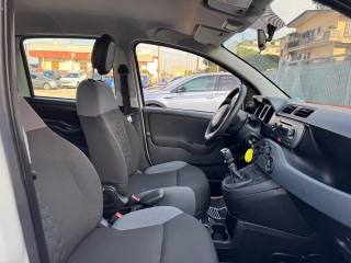 FIAT Panda usata, con Cronologia tagliandi