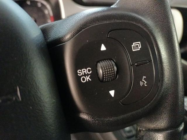 FIAT Panda Cross usata, con Specchietti laterali elettrici