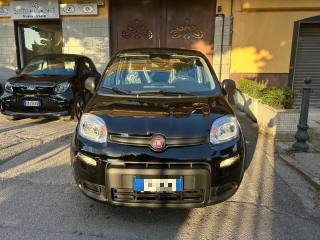 FIAT Panda 1.0 FireFly S&S Hybrid Pandina KM0