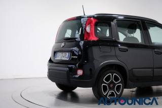 FIAT Panda usata 43