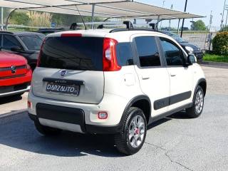 FIAT Panda usata, con Antifurto