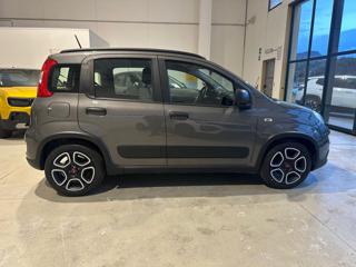 FIAT Panda usata, con Antifurto