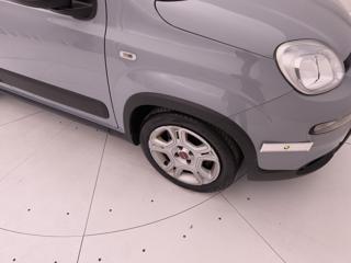 FIAT Panda usata 40