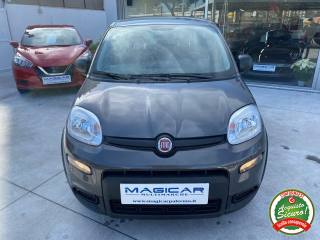 FIAT Panda usata, con Airbag