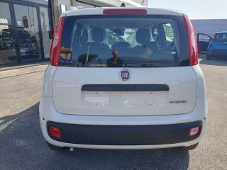 FIAT Panda usata, con Chiusura centralizzata