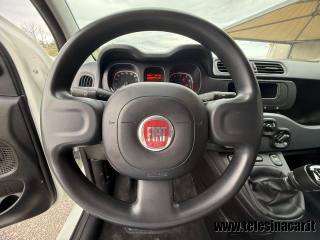 FIAT Panda usata 15