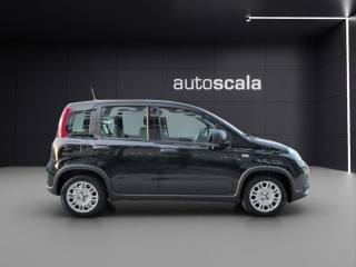 FIAT Panda usata, con Climatizzatore
