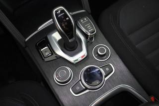 ALFA ROMEO Stelvio usata 13