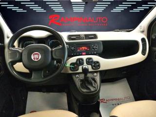FIAT Panda usata 10