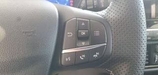 FORD Puma usata, con Fendinebbia