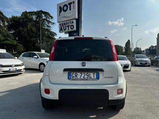 FIAT Panda usata, con Antifurto