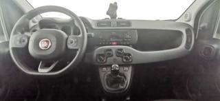 FIAT Panda usata 34