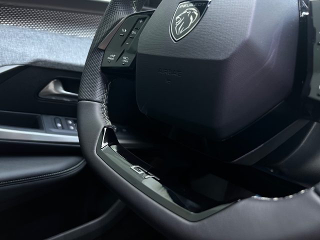 PEUGEOT 3008 usata, con Vetri oscurati