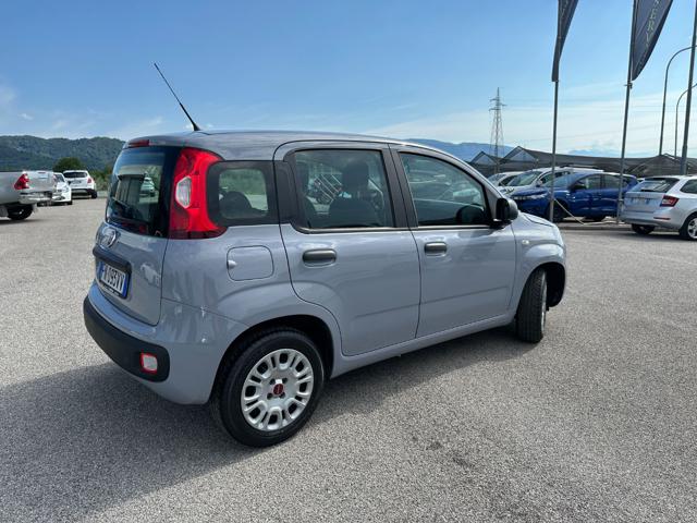 FIAT Panda usata, con Alzacristalli elettrici