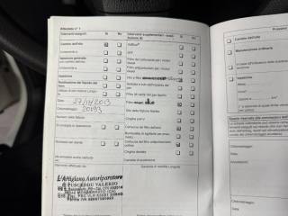 VOLKSWAGEN Polo usata 24