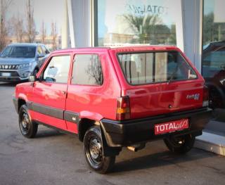 FIAT Panda usata 2