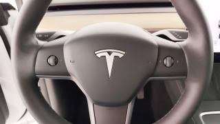 TESLA Model Y usata 53