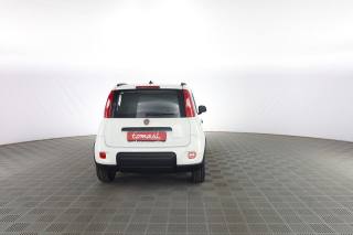 FIAT Panda usata 4