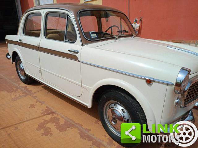 FIAT 1100 usata 6