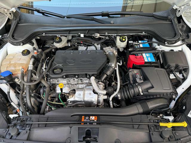 FORD Focus usata, con Sensore di pioggia