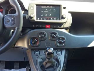 FIAT Panda Cross usata, con Specchietti laterali elettrici