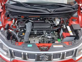 SUZUKI Ignis usata, con Trazione integrale