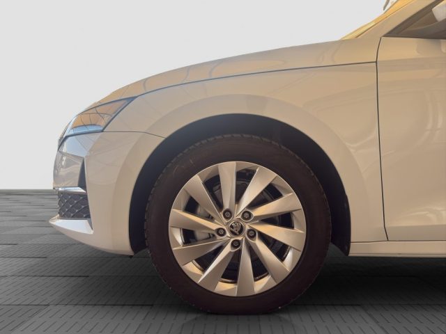 SKODA Octavia usata 14