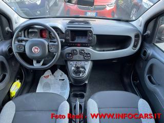 FIAT Panda usata 14