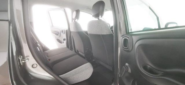 FIAT Panda usata 42