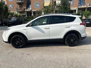TOYOTA RAV 4 MY23 usata, con Alzacristalli elettrici
