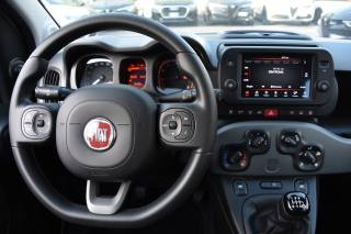 FIAT Panda usata, con Controllo trazione