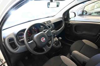 FIAT Panda usata, con Climatizzatore