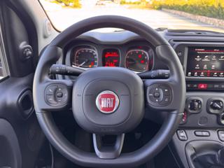 FIAT Panda Cross usata, con Immobilizzatore elettronico