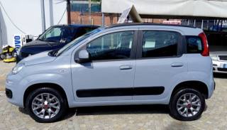 FIAT Panda usata, con Cerchi in lega