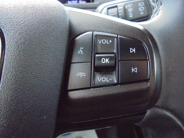 FORD Mustang Mach-E usata 45