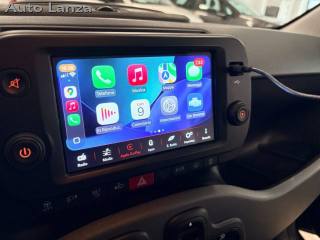 FIAT Panda Cross usata, con Controllo trazione
