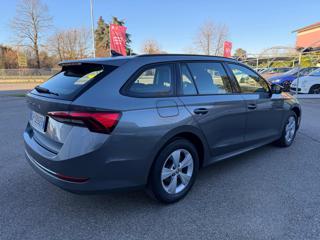 SKODA Octavia usata, con Autoradio