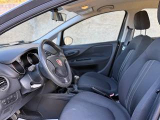 FIAT Punto usata, con ESP