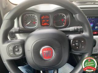FIAT Panda usata 15