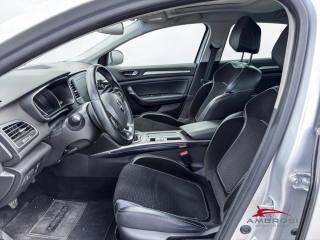 RENAULT Megane usata 8